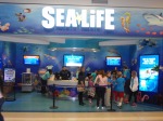 Sea Life Aquarium at the Mall of America